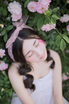 japanese的意思